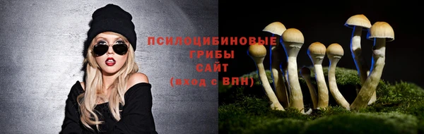 spice Алзамай